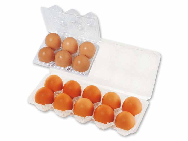 【お得】大地を守る会の平飼卵（6コ＋10コ）