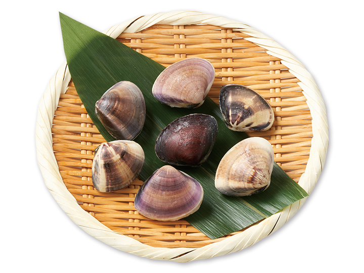 旨味たっぷり 九十九里産はまぐり_2