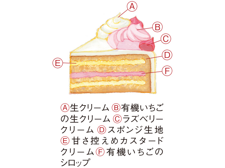 予約 12 16週配送 苺の生クリーム カスタードのケーキ 有機野菜や自然食品の購入は大地を守る会のお買い物サイト