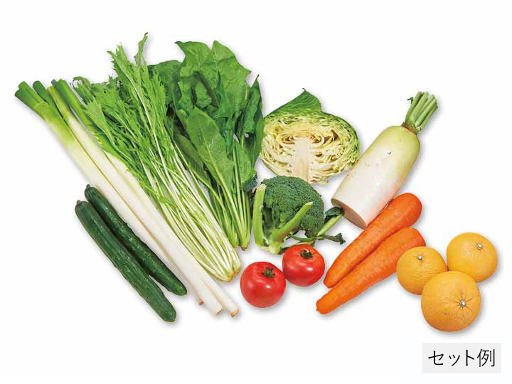 登録　畑まるごと野菜セット・9選＋果物