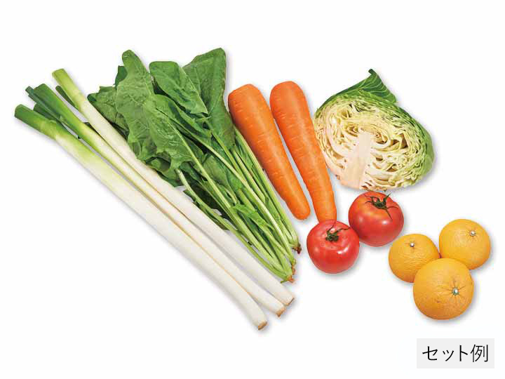 登録　畑まるごと野菜セット・5選＋果物