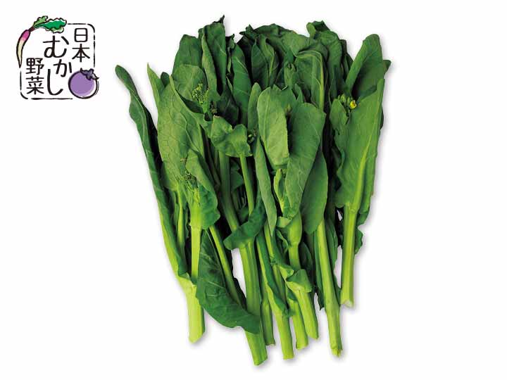 登録　日本むかし野菜