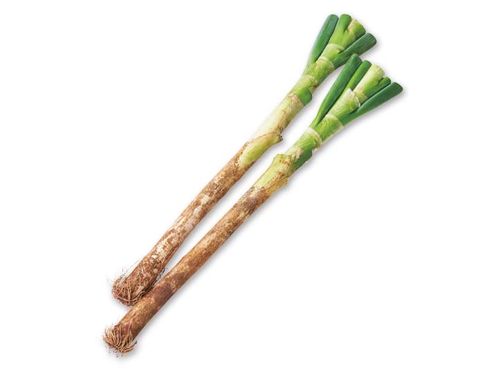 登録　◆生でもやわらか◆長ねぎ　300G