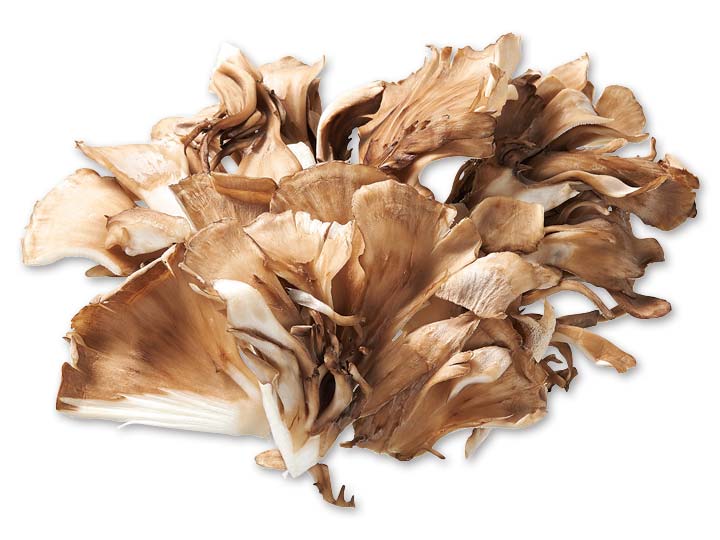 登録　まいたけ　100G