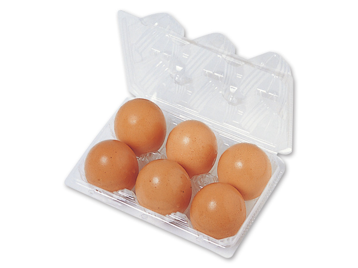 登録　大地を守る会の平飼卵　6コ