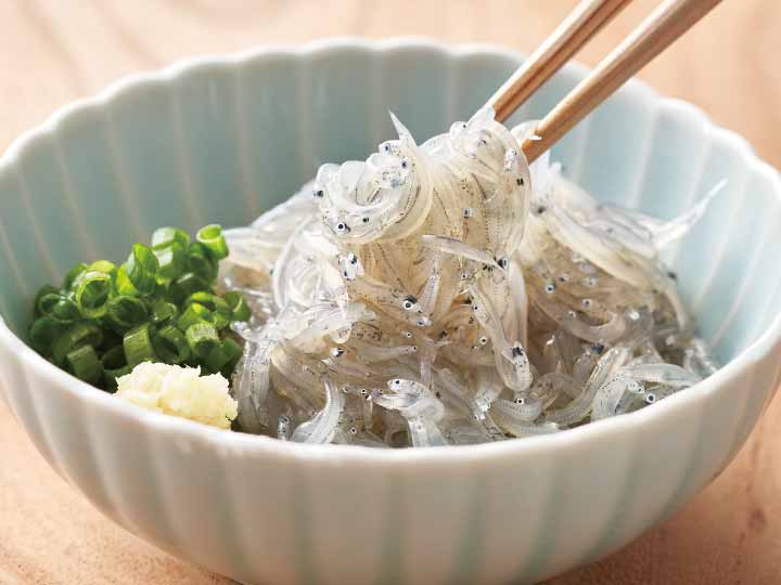予約11／10週　駿河湾産生しらす