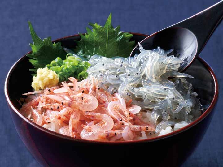 予約11／10週　駿河湾産生しらす_4