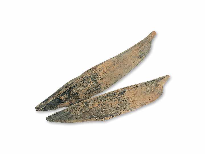 予約12／1週　かつお本節（2本組）_2