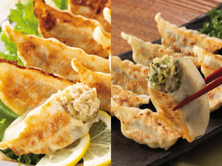 頒布会キャンセル分販売　餃子　鶏肉餃子他