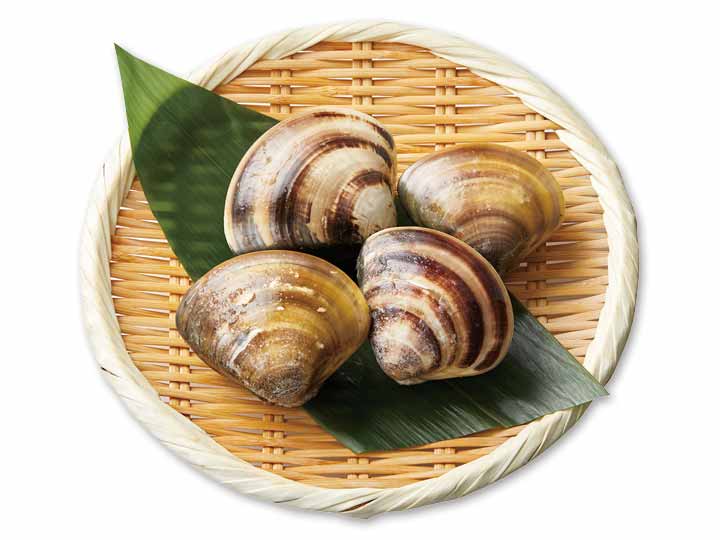 予約2/23週 三重県産はまぐり(特大)_2