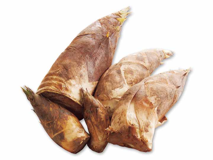 予約　直送・水車むら農園のたけのこ　4KG