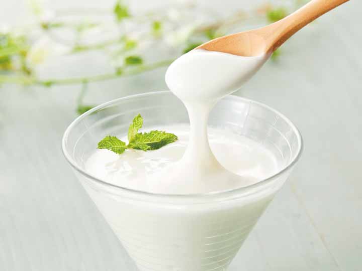 予約4/13週 低温長時間発酵 岩泉ヨーグルト_2