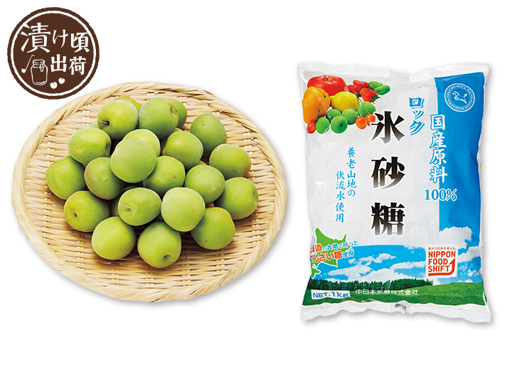 予約　簡単　梅ジュース手作りセット　1KG