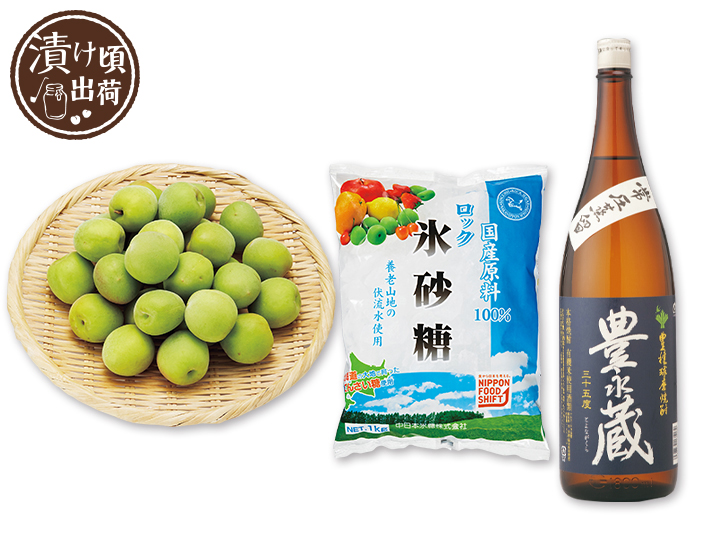 予約　簡単　梅酒手作りセット