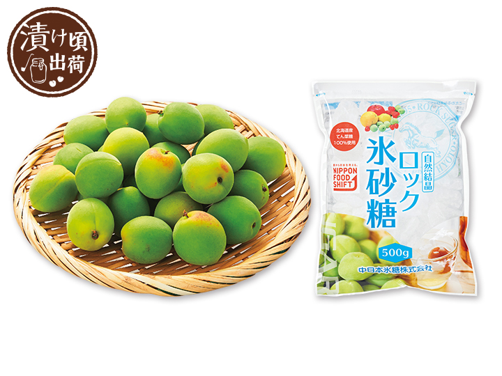 予約　【お試し200ポイント付き】簡単　梅ジュース手作りセット　500G