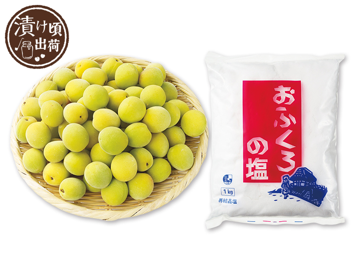 予約　簡単　梅干し手作りセット