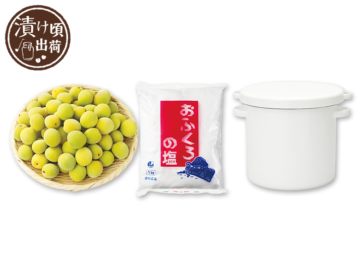 予約　簡単　梅干し手作りセット（容器付）