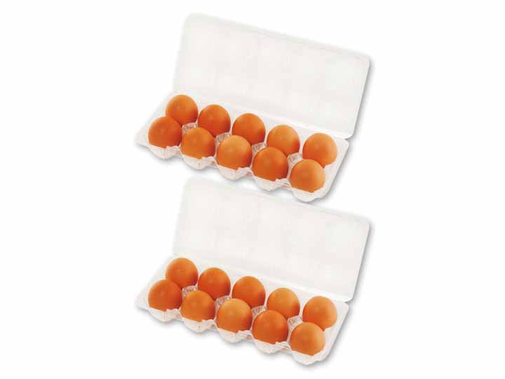 【お得】大地を守る会の平飼卵　10コ×2