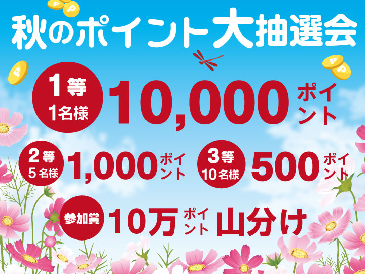 【ご応募】秋のポイント大抽選会（1口限定）