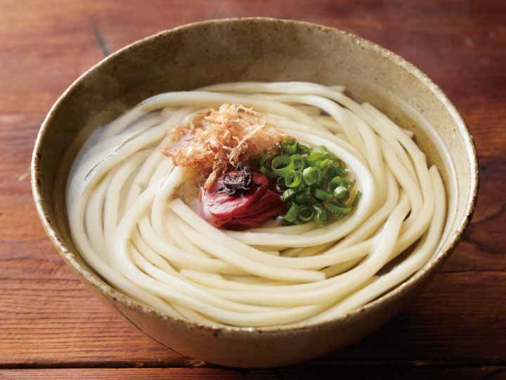【お得】北海道産小麦の冷凍うどん(食塩ゼロ)×2_3