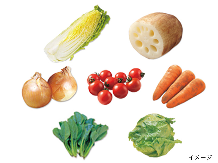 登録　季節の恵みを満喫！野菜セレクト7品