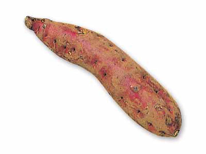 登録 仕上げ10分で完成!野菜をくわえてシリーズ1品+野菜セレクト2品_3