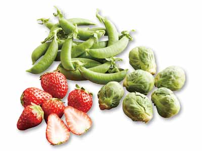 春を先取り　春野菜＆いちごセット写真