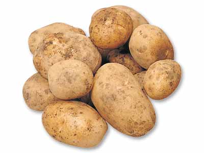 徳用　九州の新じゃがいも　1.5KG写真