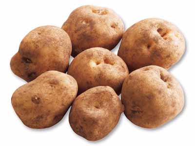 北海道・金井さんの甘熟じゃがいも　1KG写真