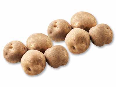 北海道・金井さんのきたかむい（じゃがいも）　1KG写真