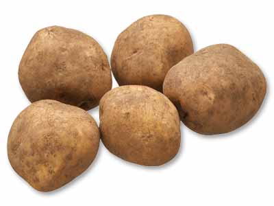 八甲田のかまくらじゃがいも　500G写真