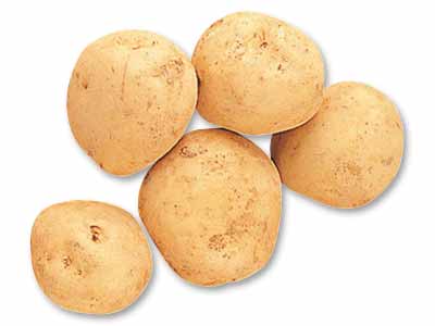 九州・沖縄の新じゃがいも　800G写真