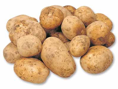 徳用・北海道金井さんの甘熟じゃがいも　2KG写真
