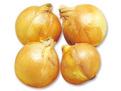 登録　玉ねぎ　1KG写真