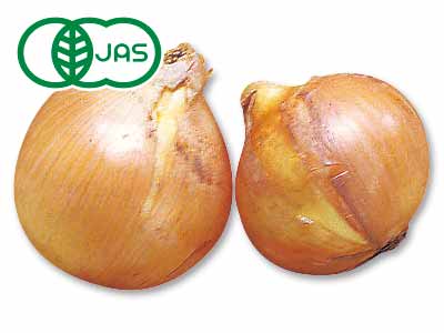 有機玉ねぎ　500G写真