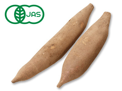 有機ヤーコン　300G写真