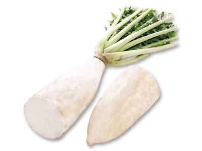 三浦大根　1本（カット）写真