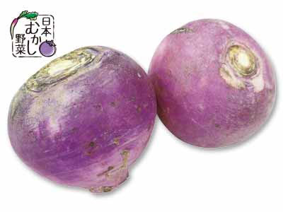 日本むかし野菜 焼畑あつみかぶ 300G写真