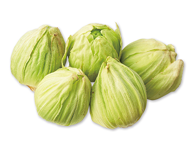 ふきのとう　50G写真