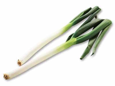 青葉から白根まで美味！冬季限定岩津ねぎ　280G写真