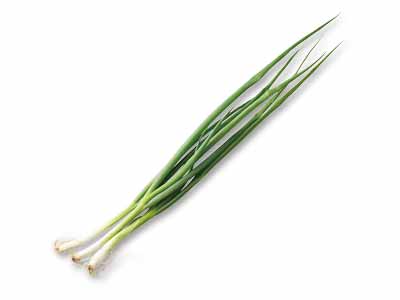 京都九条ねぎ　150G写真