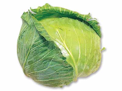 野辺山高原・青野さんのキャベツ（栽培期間中節減対象農薬不使用）　1コ写真