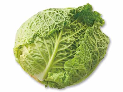 フランス生まれの冬限定の味・サボイキャベツ　1コ写真