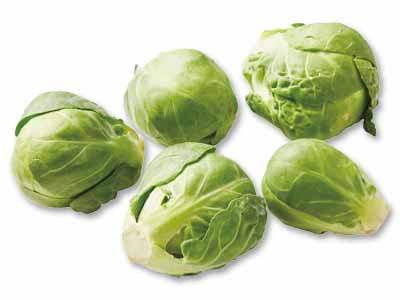 芽キャベツ　100G写真