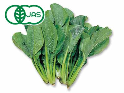 島根の有機小松菜　200G写真