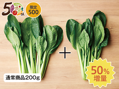 【記念商品・50％増量】ふしちゃんの有機すっぴん小松菜　300G写真