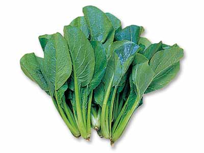 西の小松菜（栽培期間中節減対象農薬不使用）　200G写真