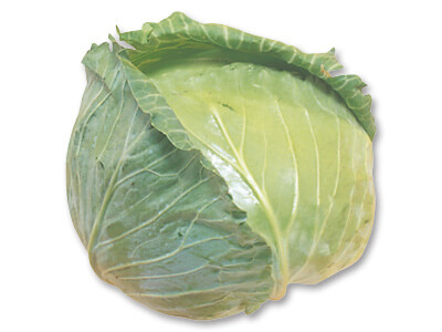 三河の潮風キャベツ（栽培期間中節減対象農薬不使用）　1コ写真
