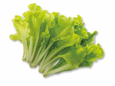 若草色のやわらかべか菜(栽培期間中節減対象農薬不使用) 200G写真