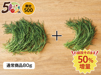 【記念商品・50％増量】おかひじき（栽培期間中節減対象農薬不使用）　120G写真